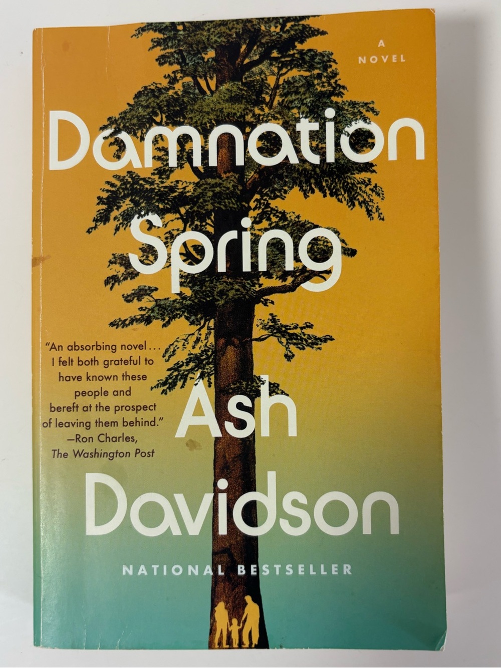 Damnation Spring By Ash Davidson Paperback Novel Book